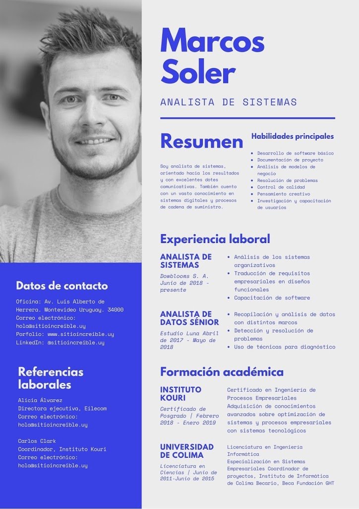 Curriculum Vitae Modelo Basico Uruguay Para Completar 2199