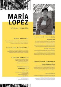 diseño de curriculum vitae