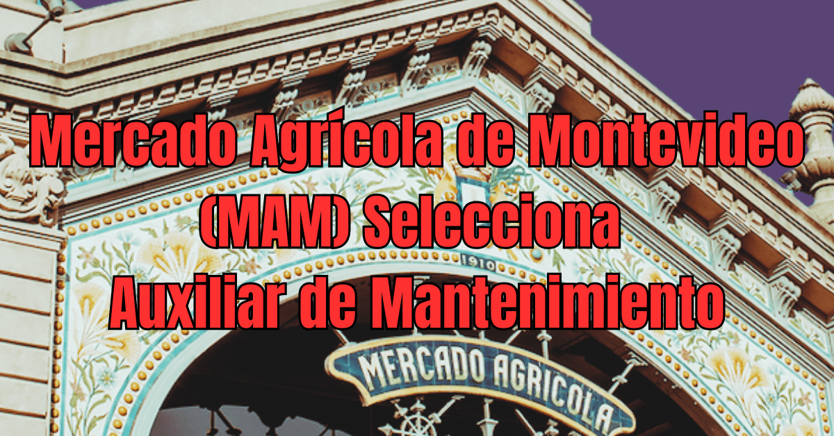 Mercado Agrícola de Montevideo (MAM) Selecciona Auxiliar de Mantenimiento