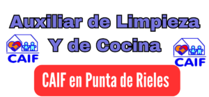 auxiliar de limpieza y cocina