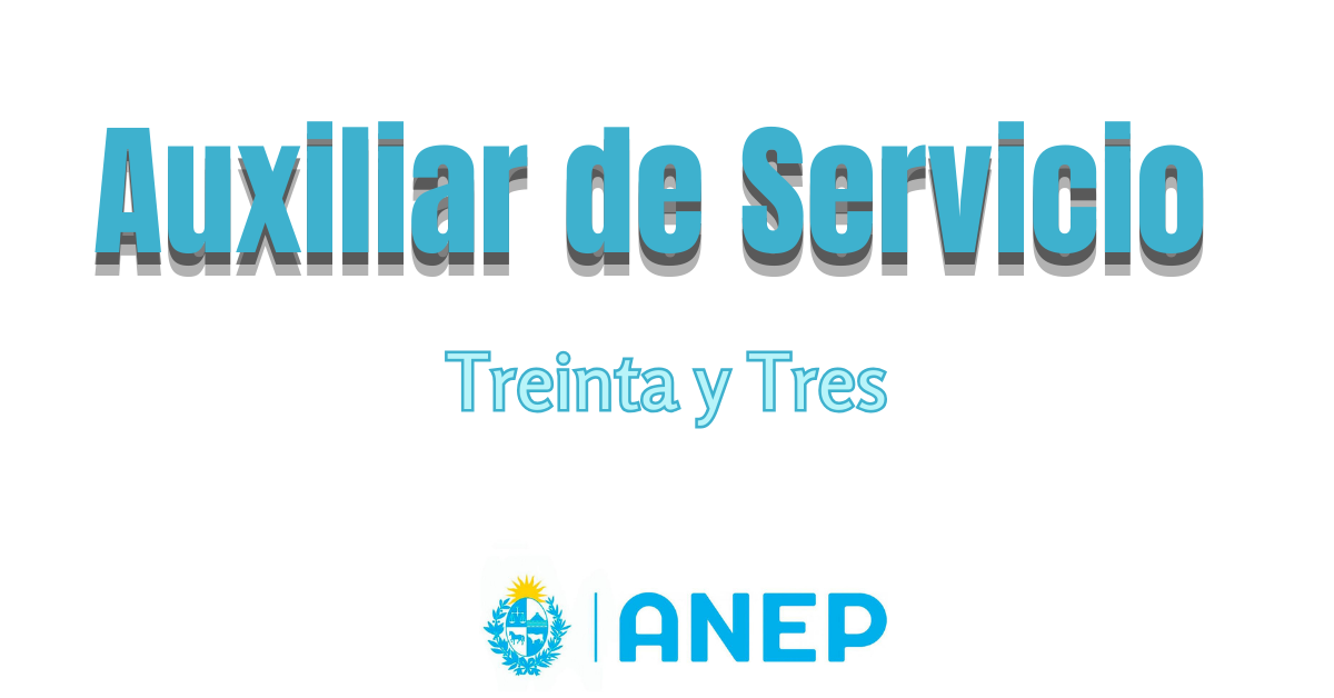 auxiliar de servicio