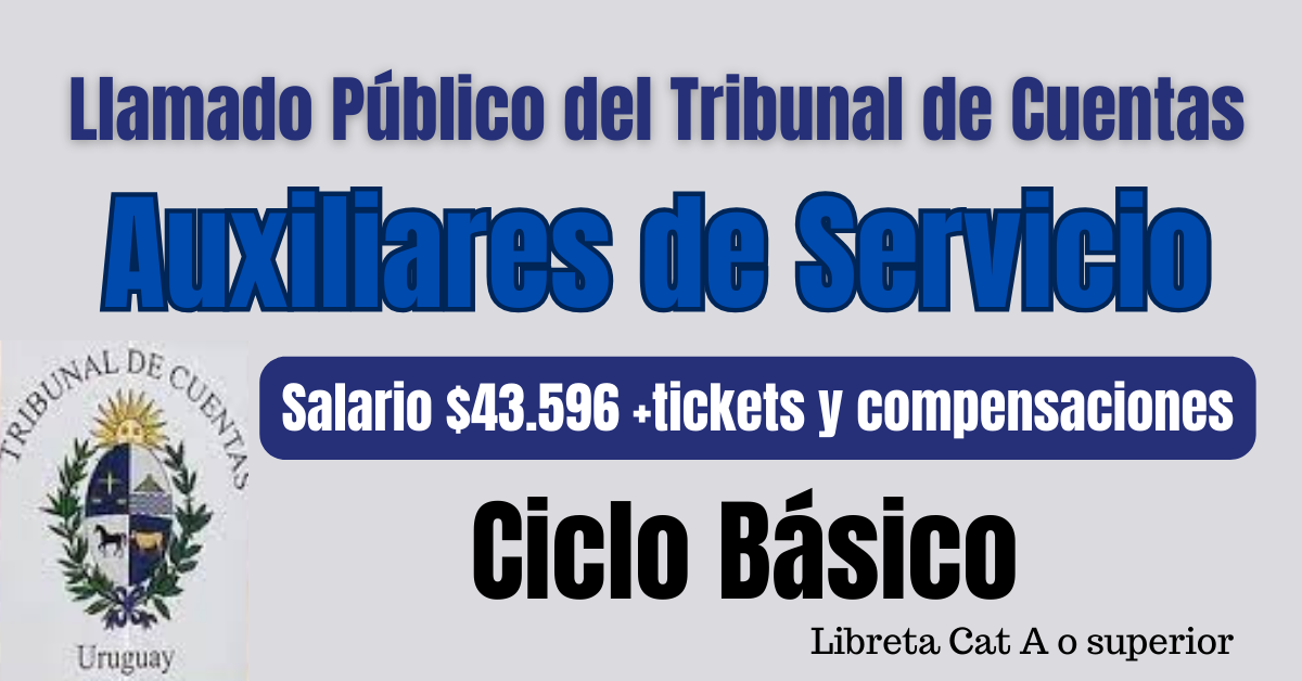 Llamado del Tribunal de Cuentas