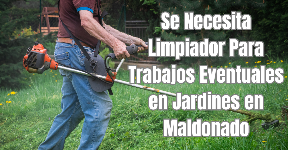 Se necesita limpiador para trabajos eventuales en Maldonado