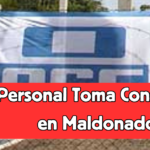 toma consumo en Maldonado