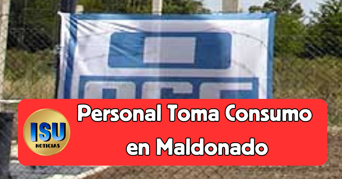 toma consumo en Maldonado