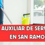 auxiliar de servicio en Canelones