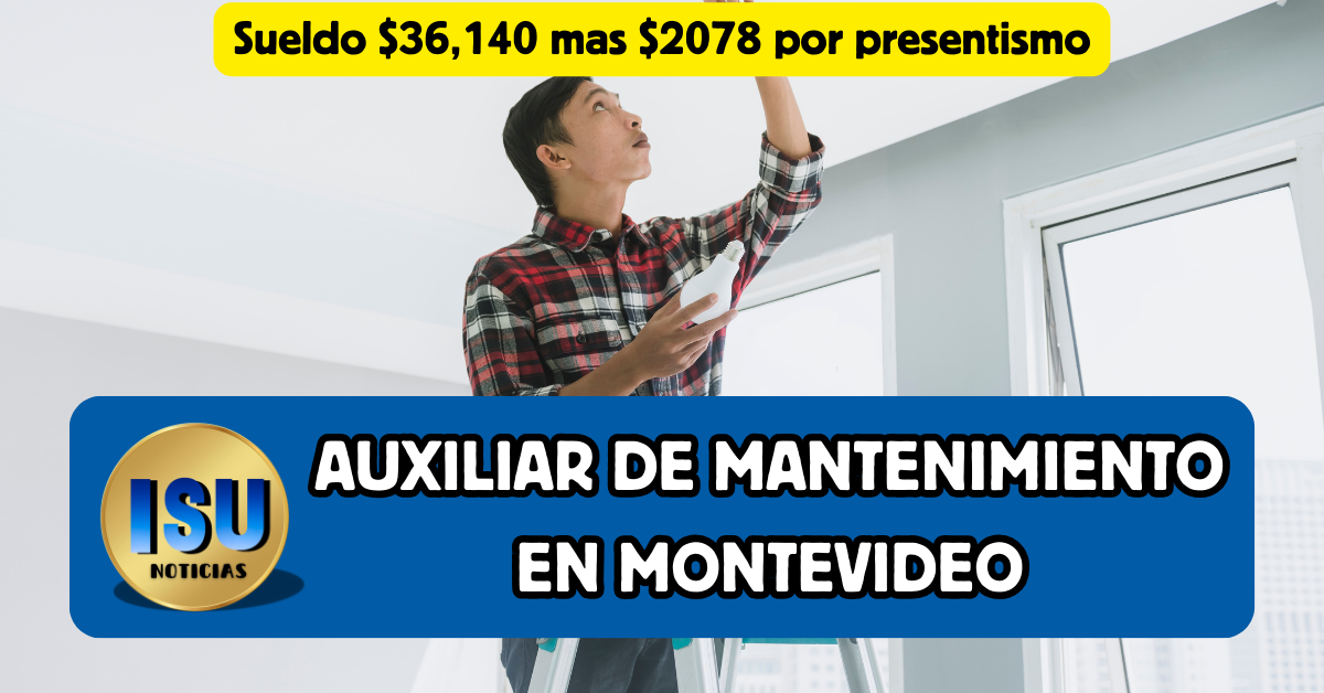 auxiliar de mantenimiento