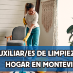 auxiliar de limpieza