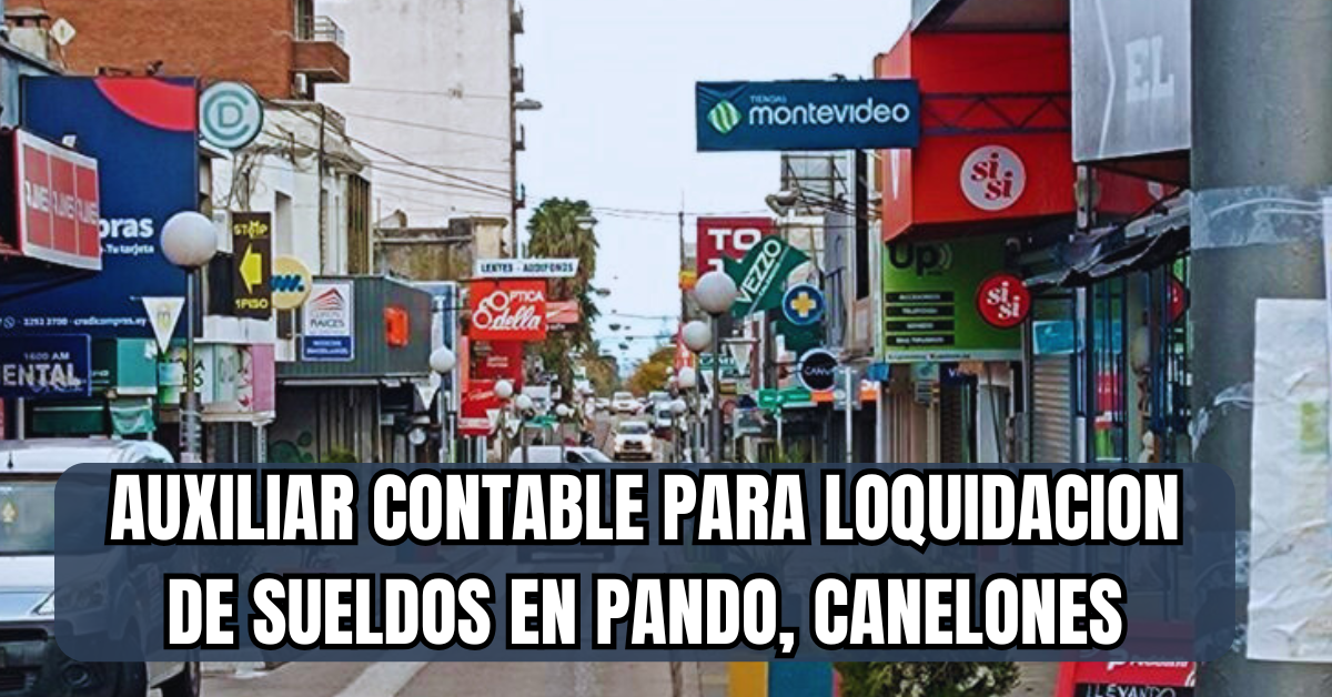auxiliar contable en pando