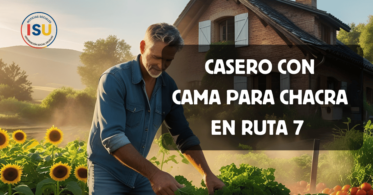 casero en pando