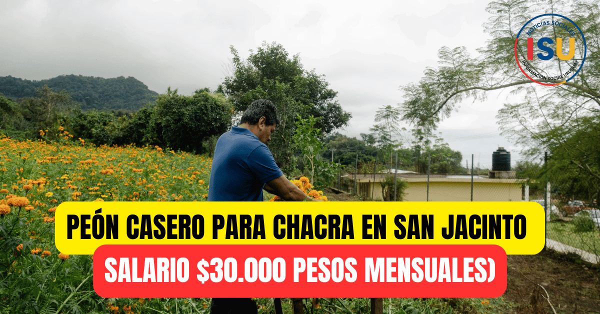 trabajo de casero