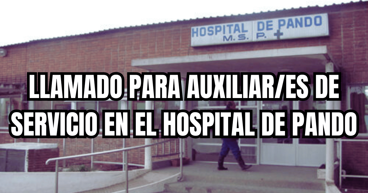 auxiliar de servicio