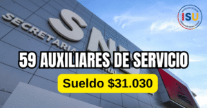 auxiliares de servicio para la snd