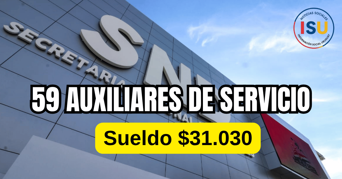 auxiliares de servicio para la snd