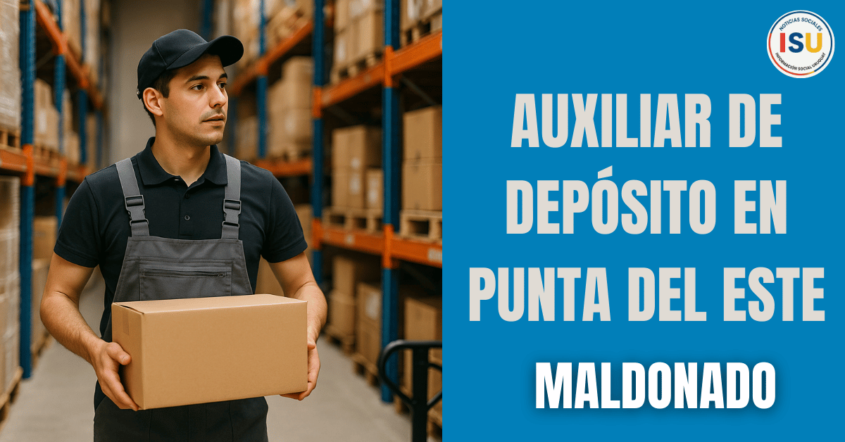auxiliar de deposito