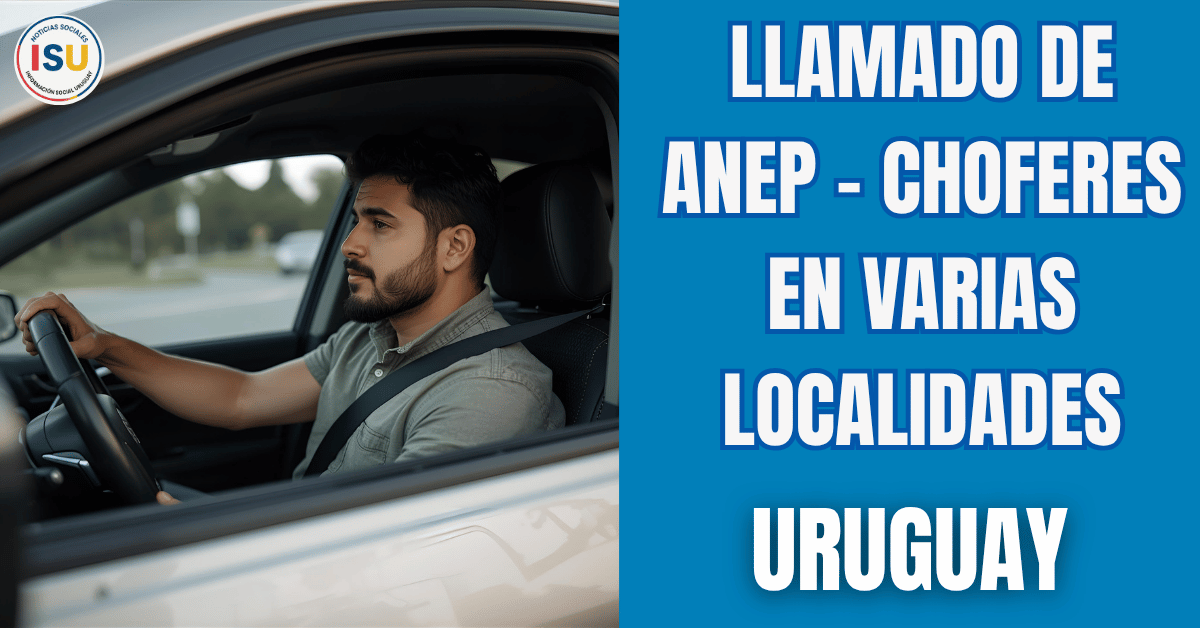 choferes para ANEP