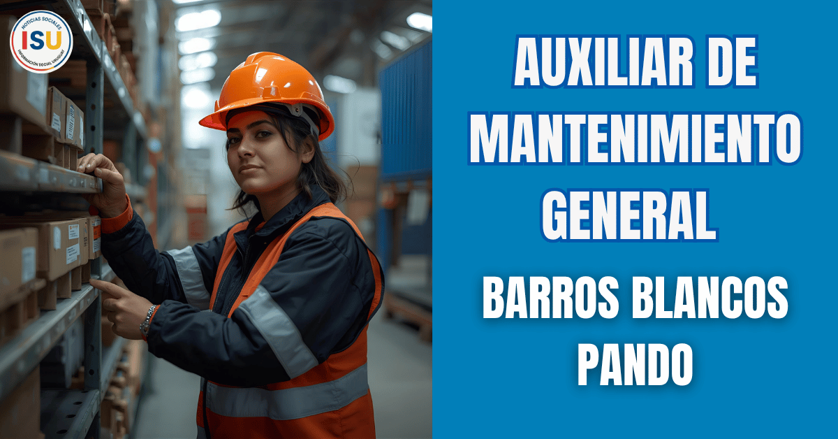Auxiliar de mantenimiento