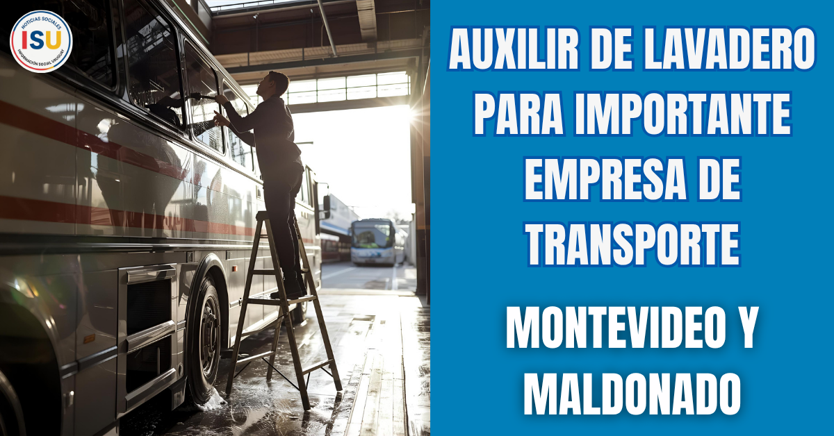 auxiliar de lavadero