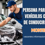 Lavador de vehículos