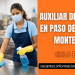 auxiliar de limpieza Paso de la Arena