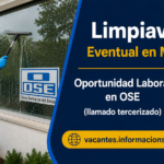 Limpiavidrios en Maldonado
