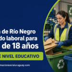 trabajo para clasificadores