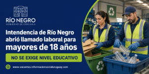 trabajo para clasificadores