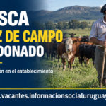 capataz de campo en Maldonado