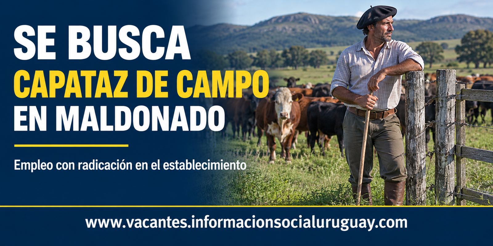 capataz de campo en Maldonado