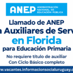 llamado de ANEP