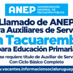llamado de anep