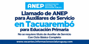 llamado de anep
