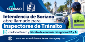 llamado Inspectores de Tránsito