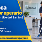 limpiador en San Jose