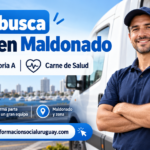 chofer de reparto en Maldonado