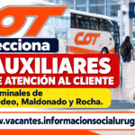 COT 20 Auxiliares de Atención al Cliente
