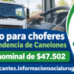llamado chofer Intendencia de Canelones
