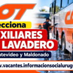 COT Auxiliar de Lavadero