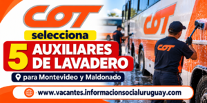 COT Auxiliar de Lavadero
