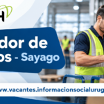 Armador de pedidos en Sayago