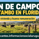 Peón de Campo en Florida