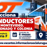 COT busca conductores