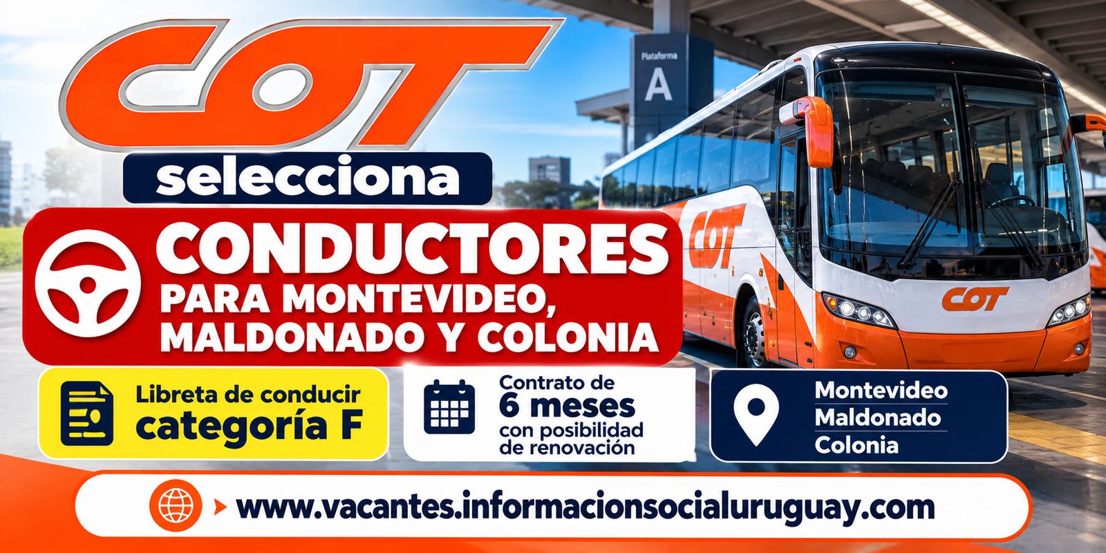 COT busca conductores