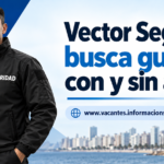 Vector Seguridad empleo